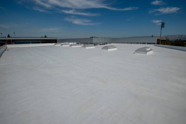 Fast & Reliable Emergency Roof Repairs in Waverly, MN